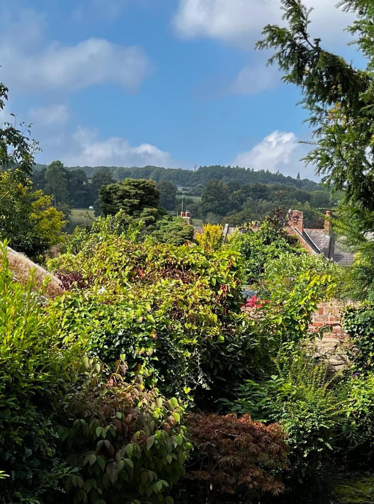 Flower Cottage By Ludlow Castle With Onsite Parking Ngoại thất bức ảnh